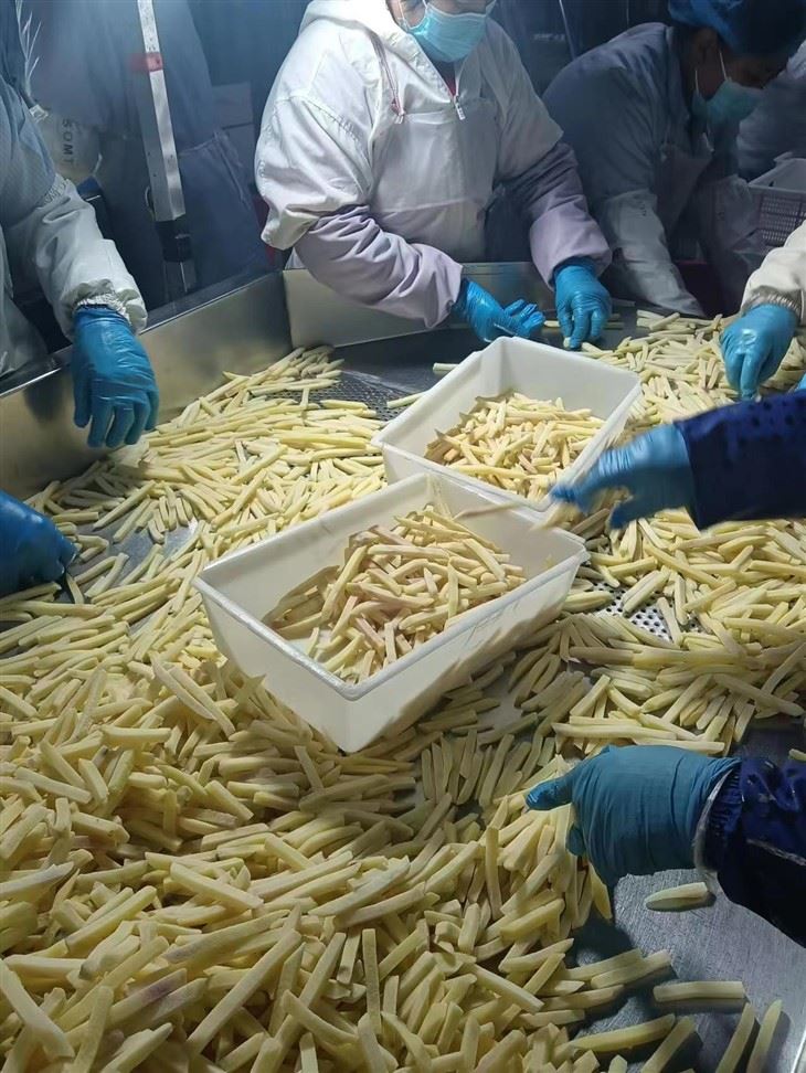 Frozen Fries Quality Assurance