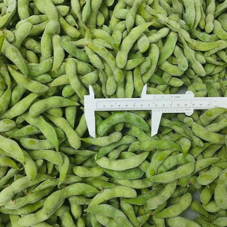 Freezing  Edamame