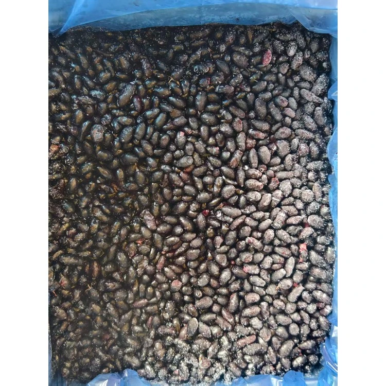 Dark elongated frozen berries from blue-honeysuckle source folder; identity pending