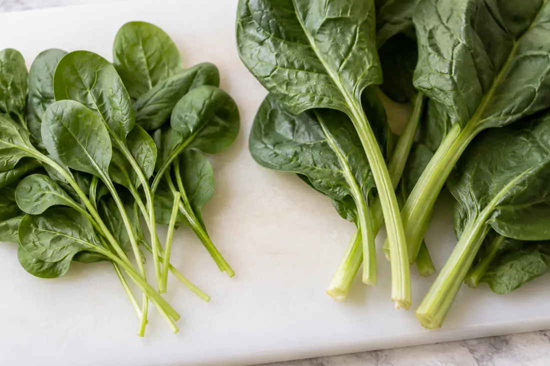 Which spinach stems are pleasant to eat visual explanation
