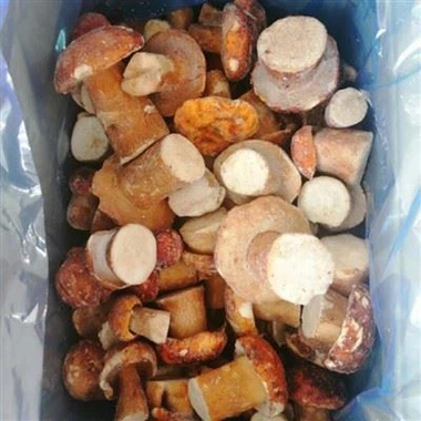 포르치니 냉동